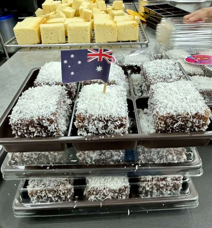 Mini Chocolate Lamington pack 6